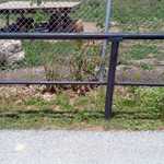 2013-06-28 13-29-11 937