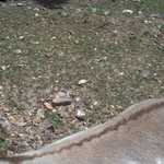 2013-06-28 14-12-08 551