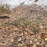 20141103 111721