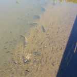 20161008 144337