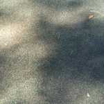 20161008 145600