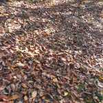 20161101 141334 021