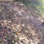 20161101 141334 025