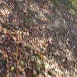 20161101 141334 027
