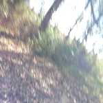 20161101 141334 028