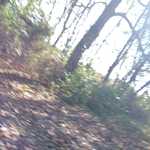 20161101 141334 029