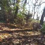 20161101 141334 030