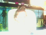 ANNA'S B-DAY 042