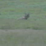 Fri Jul 22 07:31:52 2011