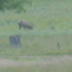 Fri Jul 22 07:32:35 2011