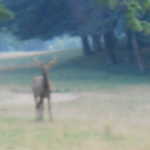 Fri Jul 22 07:32:53 2011