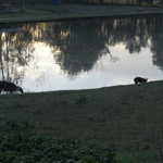 Fri Jul 22 07:56:08 2011