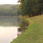 Fri Jul 22 07:56:46 2011