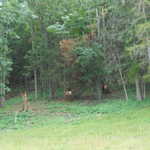 Sat Jul 23 03:55:05 2011