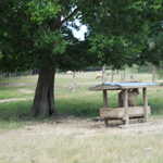 Sat Jul 23 03:56:41 2011