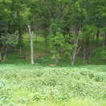 Sat Jul 23 04:06:29 2011