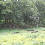 Sat Jul 23 04:06:57 2011