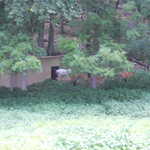 Sat Jul 23 04:07:28 2011