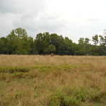 Sat Jul 23 04:10:25 2011