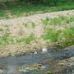 Sat Jul 23 04:12:39 2011