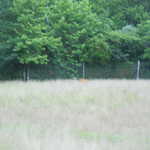 Sat Jul 23 04:27:03 2011
