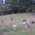 Sat Jul 23 04:47:32 2011
