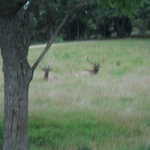 Sat Jul 23 04:48:13 2011
