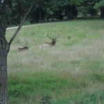 Sat Jul 23 04:48:20 2011