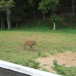 Sat Jul 23 05:16:26 2011