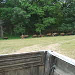 Sat Jul 23 05:16:55 2011