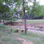 Sat Jul 23 05:17:05 2011