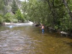 IM001931