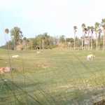 HPIM2655.JPG