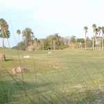 HPIM2656.JPG