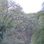 HPIM2673.JPG